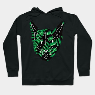 Liminal Spaces Cat Design Hoodie